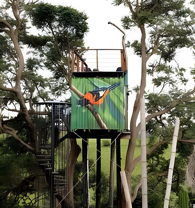 Cabana da Árvore | Refúgio na natureza em Araçoiaba da Serra