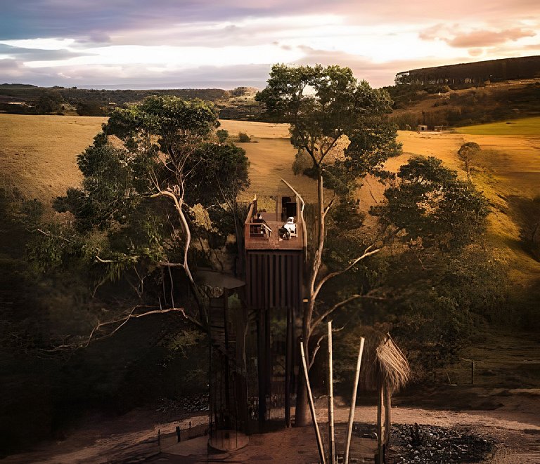 Cabana da Árvore | Refúgio na natureza em Araçoiaba da Serra