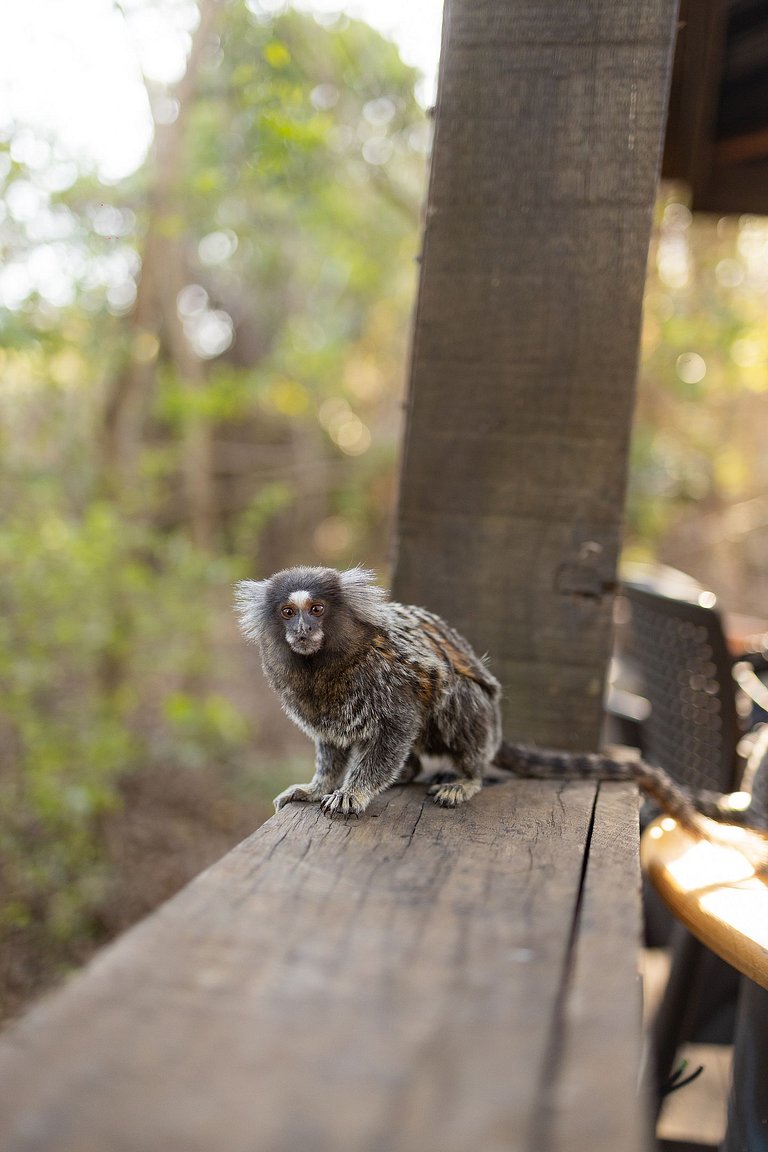 Cabana Bolha 2 - Araçoiaba da Serra